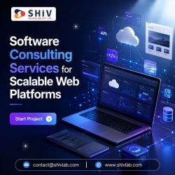 Trusted Software Development Company | Shiv Technolabs