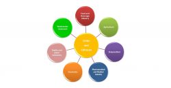 Take Your Material Innovation to the Next Level with Chitosan