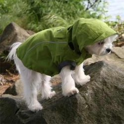 Soft and Comfortable Dog Coat for Small Dog