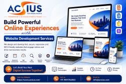 Web Development Company in India for Custom Business Websites