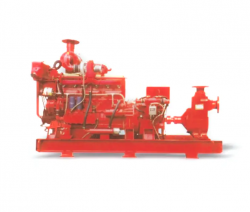 Do Diesel Engine Pump Factory Models Ship Worldwide?