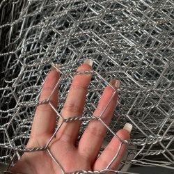 Chicken Wire Mesh