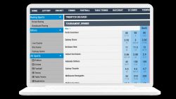 Sports Betting API Providers