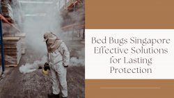 Bed Bugs Singapore Effective Solutions for Lasting Protection