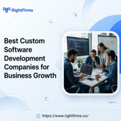Best Custom Software Development Companies for Business Growth