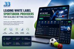 Leading White Label Sportsbook Providers for Scalable Betting Solutions