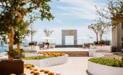 Cabo San Lucas Destination Wedding Packages: Your Complete Guide to a Dream Beach Wedding