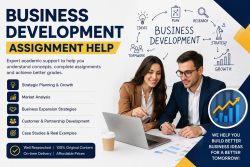 Business Development Assignment Help for Networking Strategies