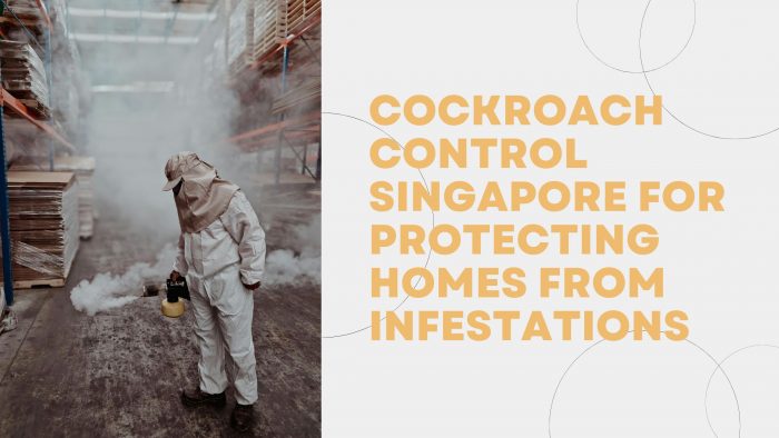 Cockroach Control Singapore for Protecting Homes from Infestations