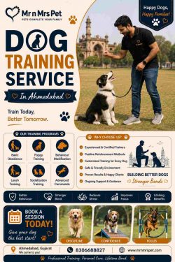 Dog Training Service in Ahmedabad