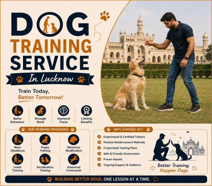 Dog Training Service in Lucknow