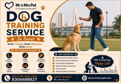 Dog Training Service in Surat
