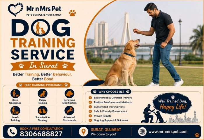 Dog Training Service in Surat