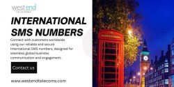 International SMS Numbers for Global Business