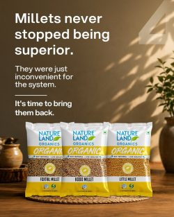 Organic Millets | Traditional Superfoods Are Back