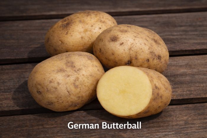 Plant the Best: High-Quality Organic Seed Potatoes