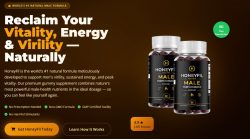 https://beastfitclub.com/honeyfil-male-performance/