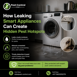 How Leaking Smart Appliances Can Create Hidden Pest Hotspots