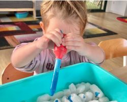 Best Childcare Raymond Terrace