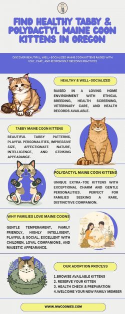 Tabby Maine Coon Kittens: Personality, Care & What Makes Them Special