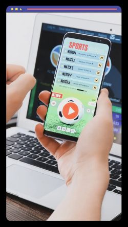 Best Sports Betting Software Provider
