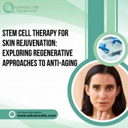Stem Cell Therapy for Skin Rejuvenation: Exploring Regenerative Approaches to Anti-Aging