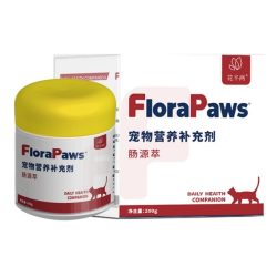Gut & Digestive Support