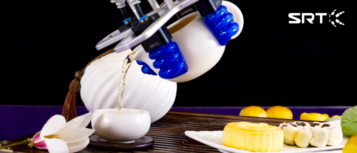 Srt Soft Robot Gripper