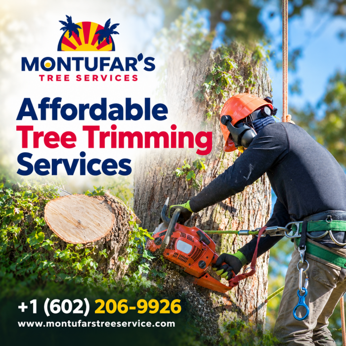 Affordable Tree Trimming Services