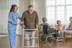Trusted Home Care Providers Oatley for Personalised Support