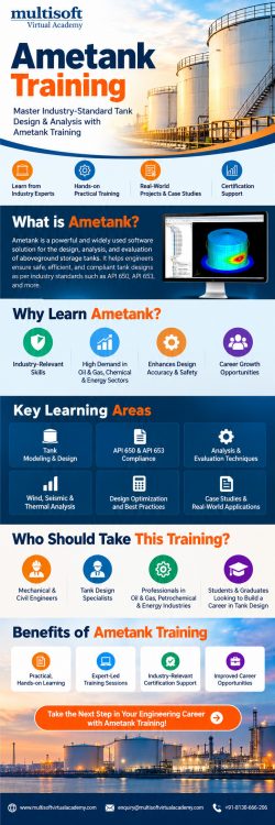 Ametank Training for Professional Tank Design and Analysis