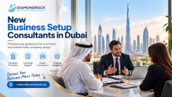 New Business Setup Consultants in Dubai