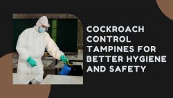 Cockroach Control Tampines for Better Hygiene and Safety