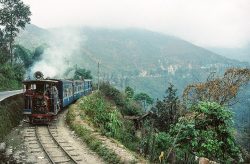 best way to reach Darjeeling from NJP by road