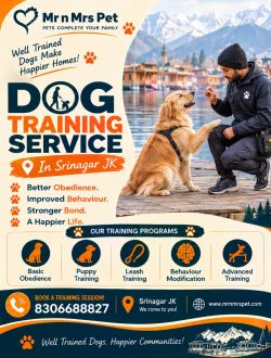 Dog Training Service in Srinagar JK