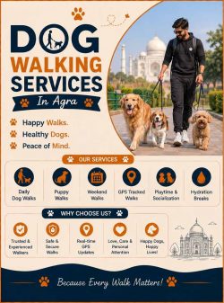 Dog Walking Services in Agra