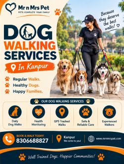 Dog Walking Services in Kanpur