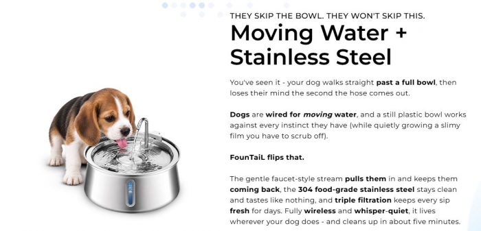 https://www.facebook.com/FounTailFreshWaterDogBowl/