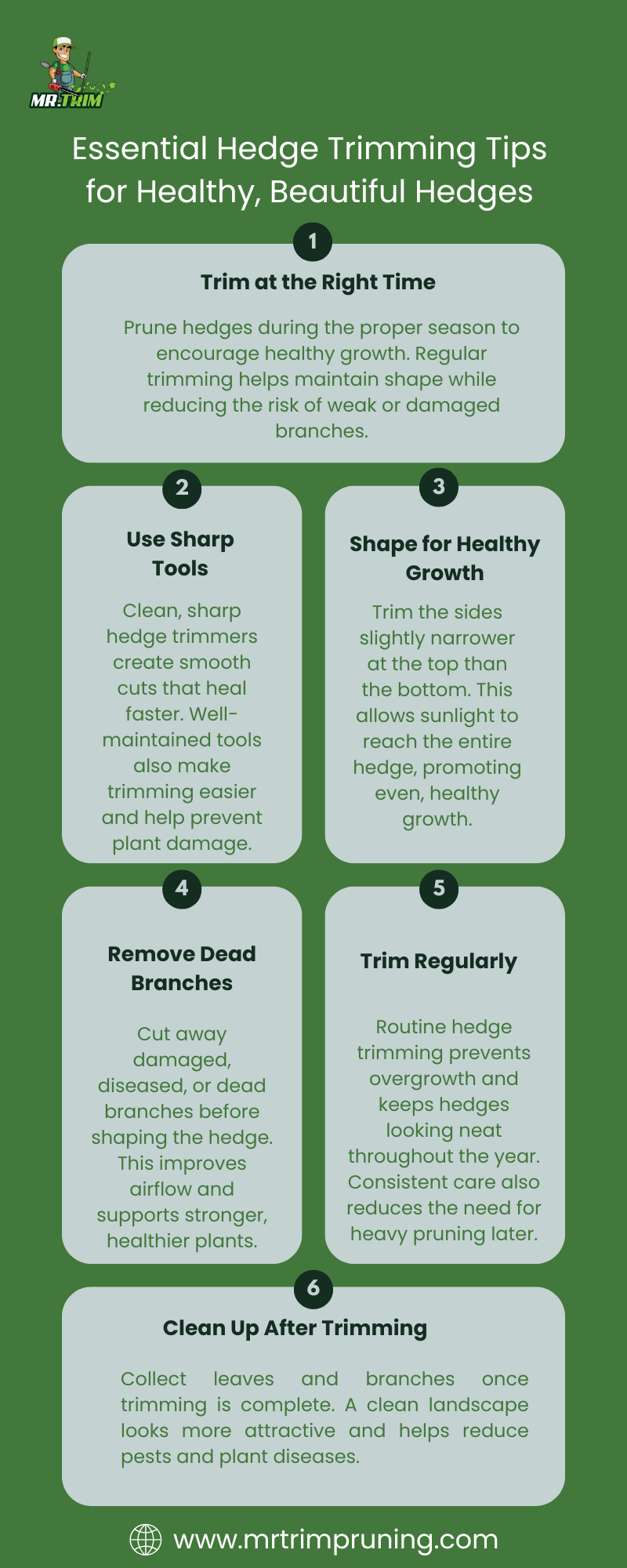 Expert Care That Keeps Your Garden Looking Its Best