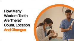 How Many Wisdom Teeth Are There Count, Location & Changes Explained