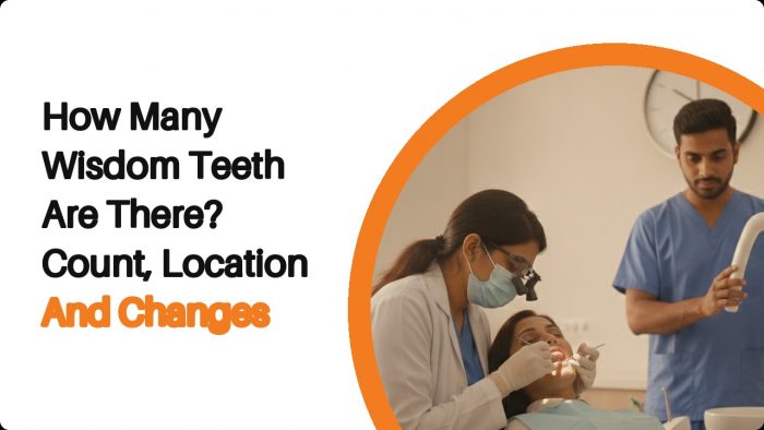 How Many Wisdom Teeth Are There Count, Location & Changes Explained