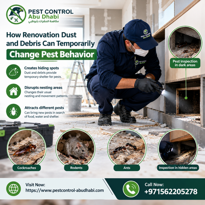 How Renovation Dust and Debris Can Temporarily Change Pest Behavior
