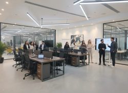 Office Workstations Partitions
