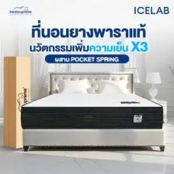 โซฟา ไม้ ยางพารา