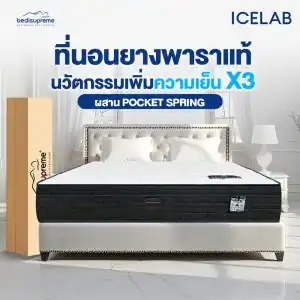 โซฟา ไม้ ยางพารา