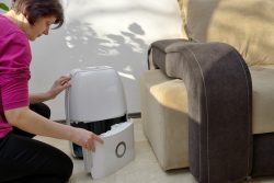 Commercial Dehumidifier