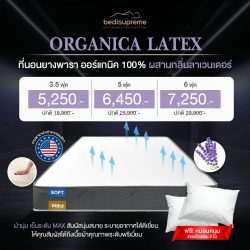 Pocket Spring Mattress