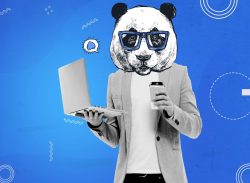 Social Media Companies and the Best Web Design Agency: How to Choose the Right Digital Partner