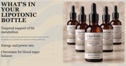 LipoTonic Review Guide: What Buyers Should Know