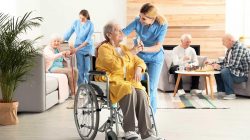 NDIS Harristown for Individualised Everyday Support